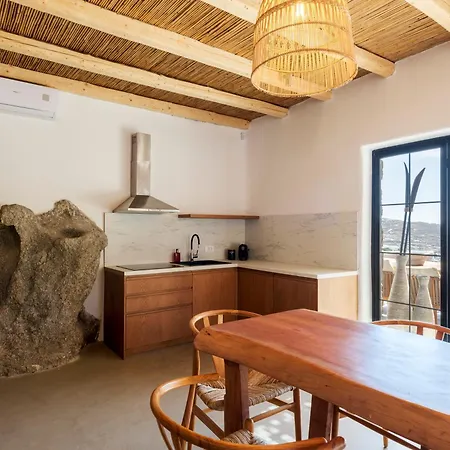 Vila Pure Mykonos Plintri