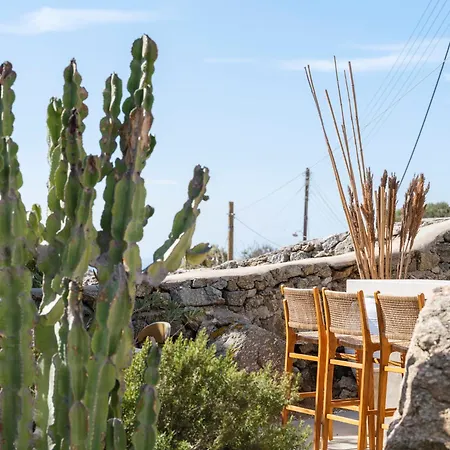 Pure Mykonos * Plintri